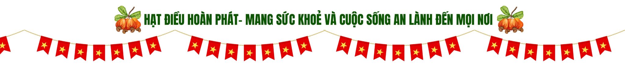 HẠT ĐIỀU SẠCH