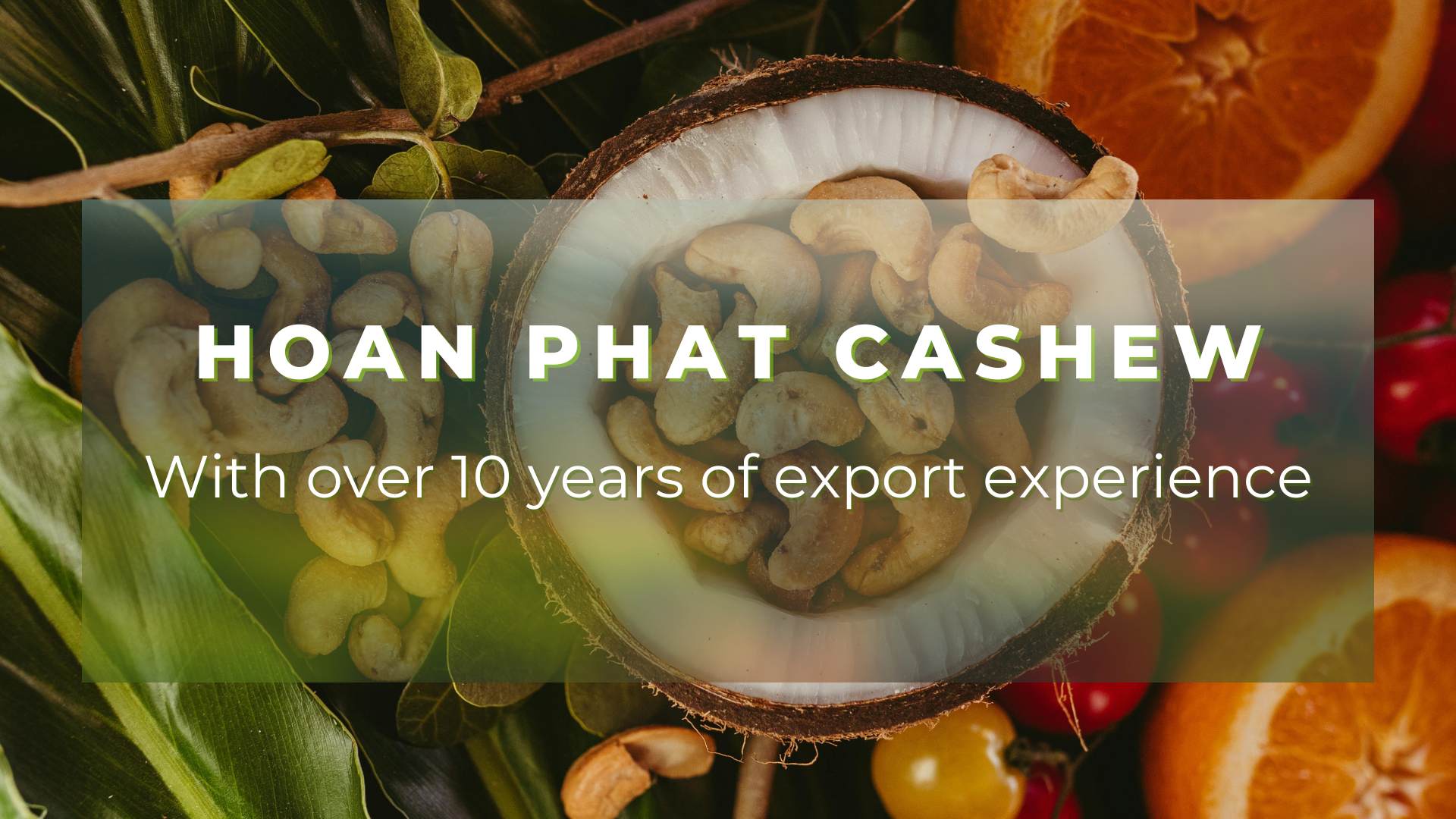 Hạt điều Hoàn Phát